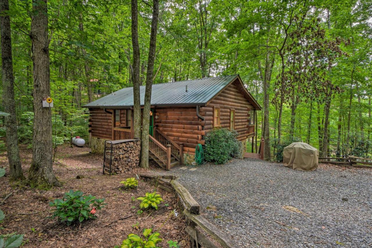 Pinot And Pine Chic Log Cabin About 5 Mi To Blue Ridge Buitenkant foto